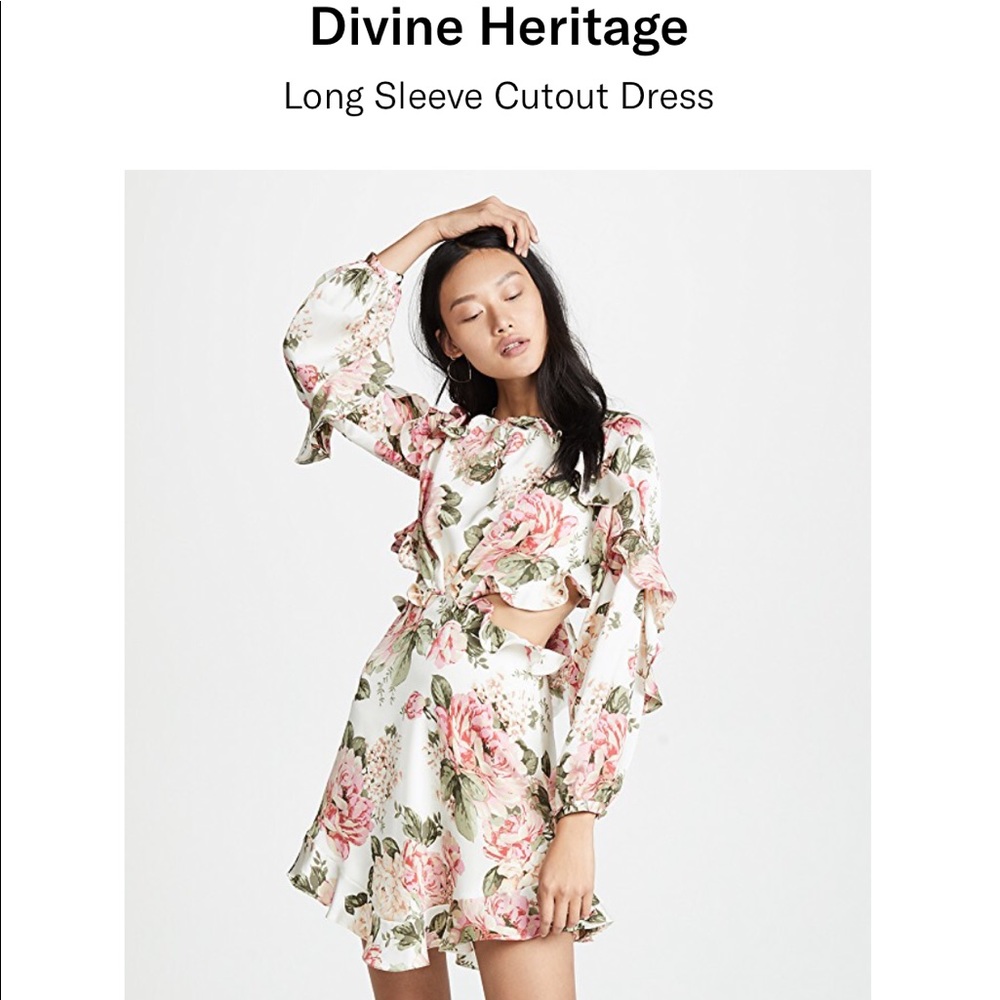 Divine Heritage long sleeve cutout minidress XS